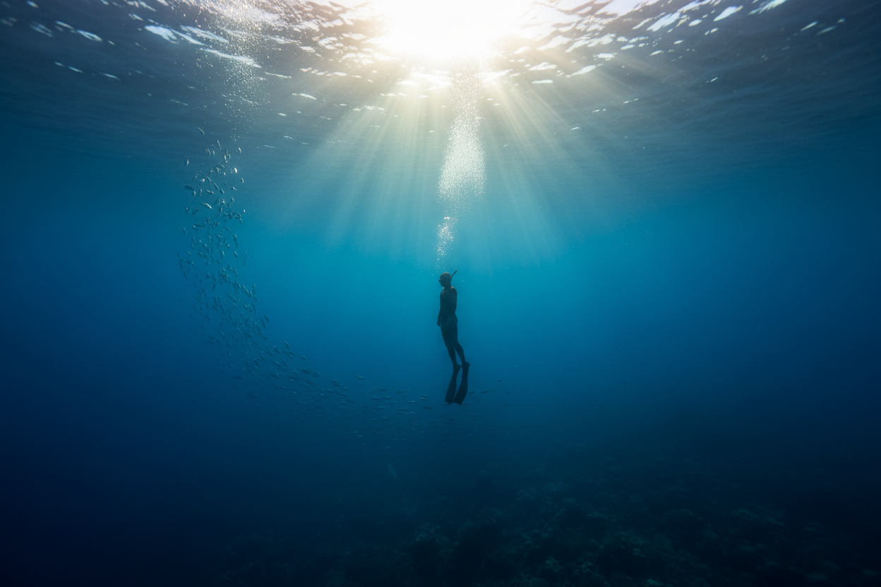 Freediver Silhouette Hero